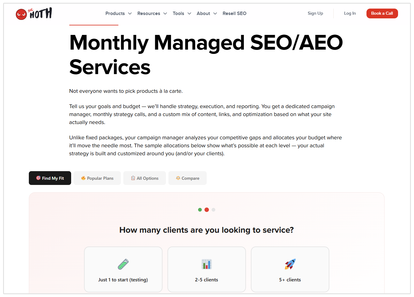 TheHoth Zarządzane Usługi